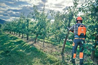 przycinanie drzewek pilarką Husqvarna
