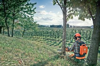 A person in work gear sitting on a grassy slope with a chainsaw and a backpack in an orchard.