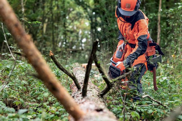 Uma pessoa com equipamento de trabalho usando uma motosserra para cortar uma árvore caída em uma floresta.