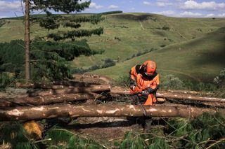 A person in work gear using a chainsaw to cut logs in a hilly landscape.