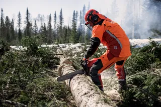 A person using a chainsaw to cut a fallen tree in a forest setting.