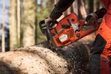 A person using a chainsaw to cut a large tree log in a forest setting.