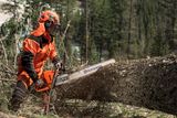 Eine Person, die eine Husqvarna Motorsäge verwendet, um einen umgestürzten Baum in einer Waldumgebung zu schneiden.