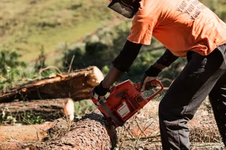 A person using a chainsaw to cut a fallen tree in a forest setting.