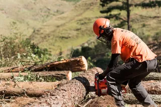 A person using a chainsaw to cut a tree log in a forest setting.