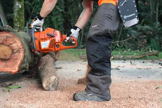 Una persona con una motosierra corta un tronco de árbol en un bosque.