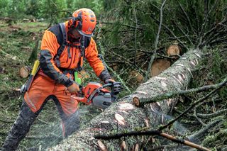 Une personne utilise une tronçonneuse pour couper un arbre tombé dans un environnement forestier.