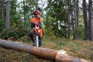 A person in work gear holding a chainsaw, standing next to a fallen tree in a forest.