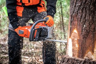 Une personne utilisant une scie à chaîne pour abattre un arbre dans un environnement forestier.