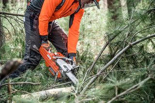 A person using a chainsaw to cut tree branches in a forest setting.