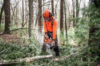 Eine Person, die eine Motorsäge verwendet, um einen heruntergefallenen Ast in einem Wald zu schneiden.