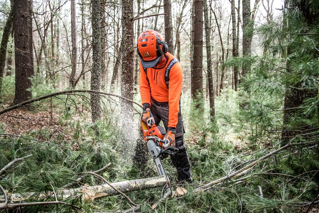 A person using a chainsaw to cut a fallen tree branch in a forest.