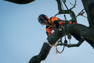 Uma pessoa com equipamento de trabalho que utiliza uma motosserra para cortar ramos de árvores enquanto está suspensa no ar.