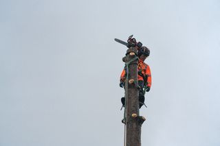A person in work gear standing on top of a tall tree trunk, holding a chainsaw.