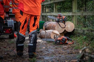 Workers in protective gear standing near cut tree logs with Husqvarna chainsaws on the ground.