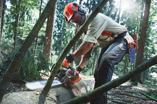 HUSQVARNA 562 XP®. Човек, използващ верижен трион, за да отреже паднало дърво в горска среда.