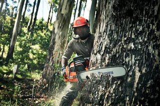 Una persona que utiliza una motosierra Husqvarna para cortar un árbol grande en un bosque.