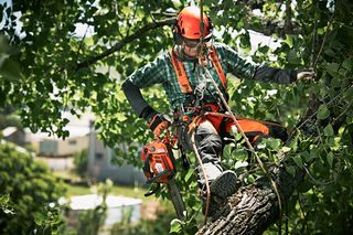 arborysta podczas pracy pilarką Husqvarna