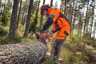 A person using a chainsaw to cut a fallen tree in a forest setting.