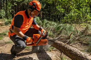 A person using a chainsaw to cut a fallen tree in a forest setting.