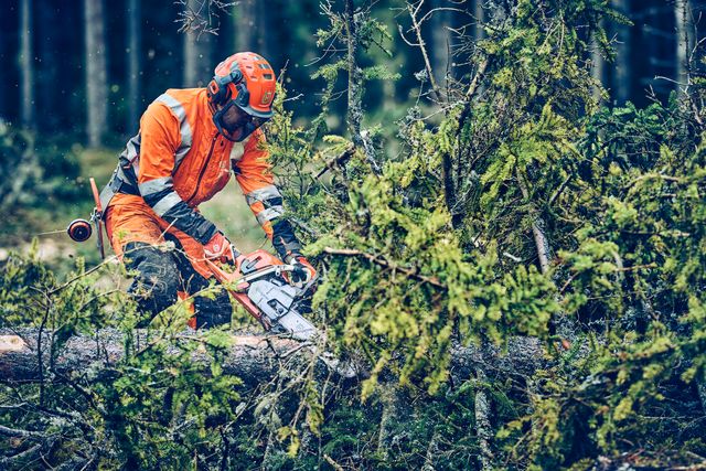Une personne en tenue de travail utilisant une tronçonneuse pour couper un arbre tombé dans une forêt.