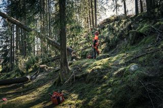 A person in work gear standing in a forest with fallen trees and chainsaw equipment.