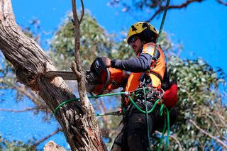 A person in work gear using a chainsaw to cut a tree branch while suspended in the air.