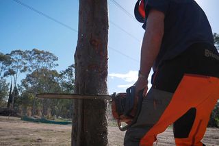 A person using a chainsaw to cut a tree trunk outdoors.