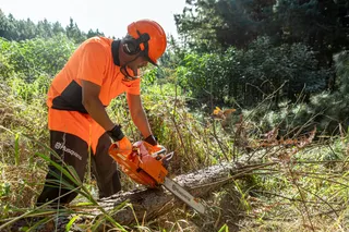 A person in work gear using a chainsaw to cut a fallen tree in a forest area.