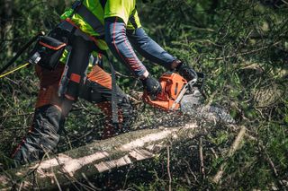 A person using a chainsaw to cut a fallen tree in a forest setting.