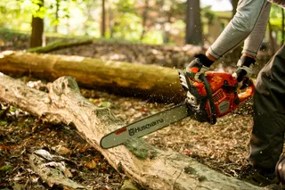 A person using a Husqvarna chainsaw to cut a fallen tree in a forest setting.