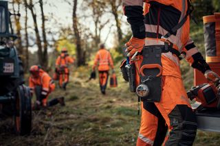 Chainsaw Academy - advanced tree felling
