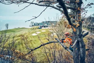 En person i arbetskläder som klättrar i ett träd med utsikt över en golfbana och en sjö.