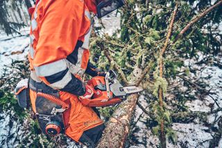 A person using a chainsaw to cut a tree branch in a snowy forest setting.