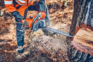 A person using a Husqvarna chainsaw to cut a tree trunk in a forest setting.