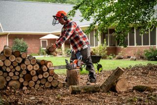 A person stacking cut tree logs with a chainsaw in a garden setting.