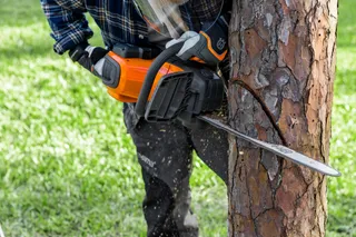 A person using a chainsaw to cut a tree trunk outdoors.