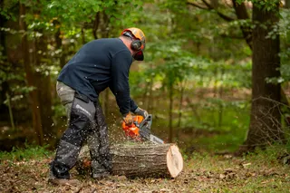 A person using a chainsaw to cut a log in a forest setting.