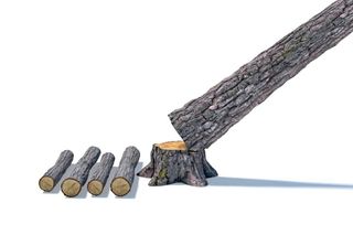 Illustration of a tree trunk being cut into smaller logs.