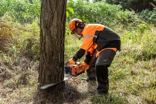 A person using a chainsaw to cut a tree trunk in a forest setting.