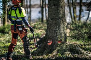 Una persona con equipo de trabajo de pie en un bosque, preparándose para talar un árbol con una motosierra.