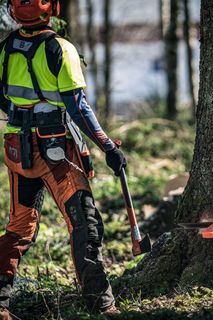 A person in work gear standing in a forest, preparing to cut down a tree with a chainsaw.