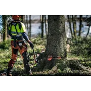 A person in work gear standing in a forest, preparing to cut down a tree with a chainsaw.
