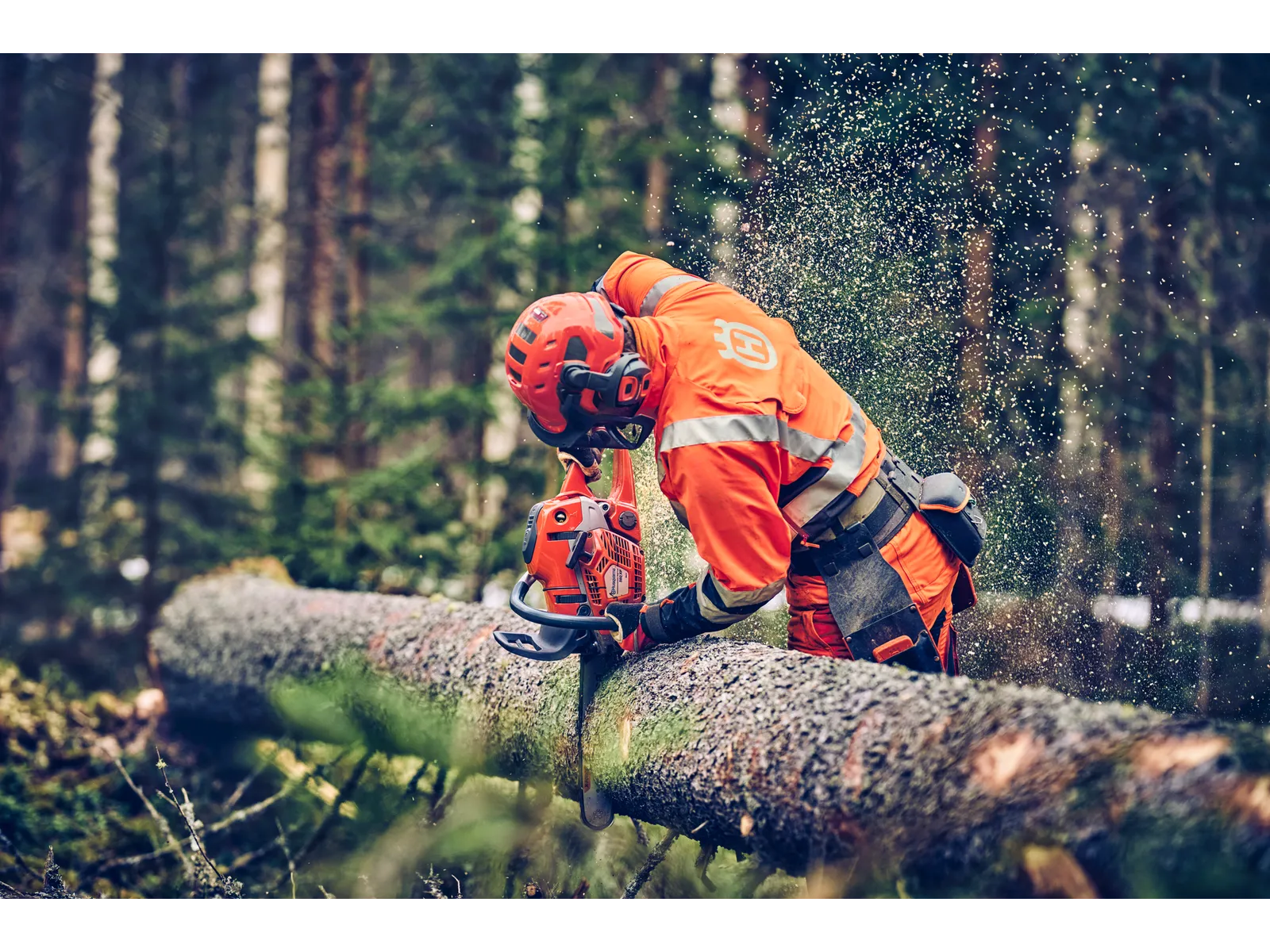 ハスクバーナ 560 XP® Mark II チェンソー | Husqvarna JP