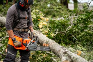 Asmuo, naudojantis "Husqvarna" grandininį pjūklą, lauke nupjauna nukritusį medžio kamieną.