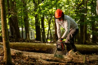 A person using a chainsaw to cut a log in a forest setting.