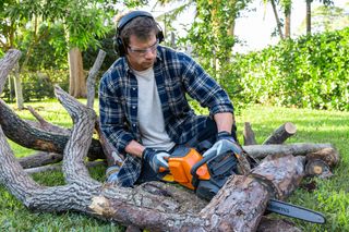 Une personne utilisant une scie à chaîne pour couper des branches d’arbres dans un jardin.