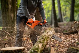 Eine Person, die eine Motorsäge verwendet, um einen Baumstamm in einem Waldstück zu schneiden.