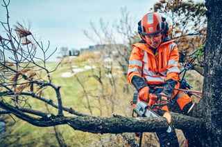 Eine Person in Arbeitskleidung, die mit einer Motorsäge einen Ast schneidet und dabei mit Kletterseilen gesichert ist.