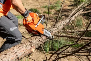 A person using a chainsaw to cut a fallen tree in a forest setting.